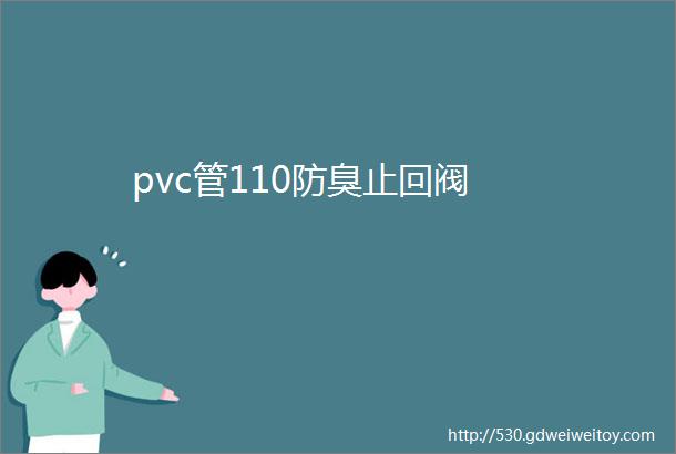 pvc管110防臭止回阀